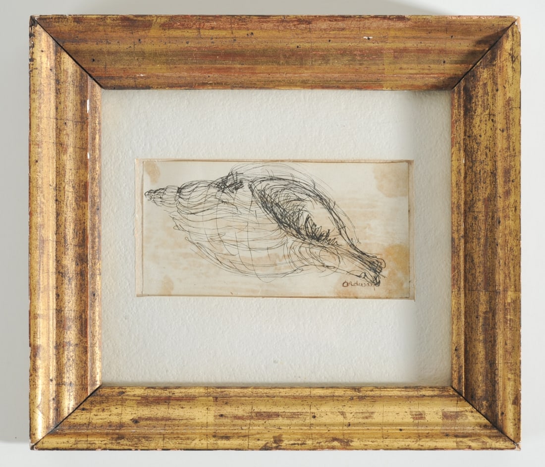 Pen and Ink Shell Study, signed "Ordway" (1 of 3)