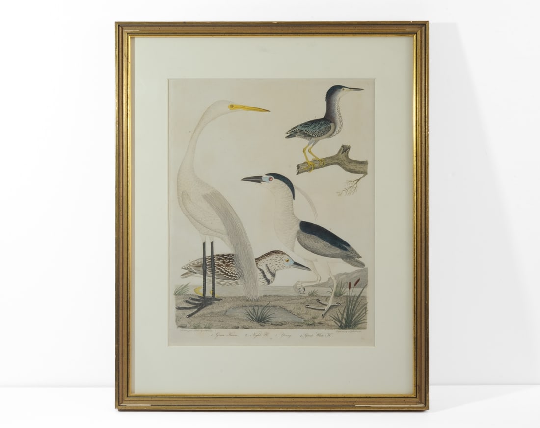 Alexander Wilson (American, 1766–1813) (1 of 9)