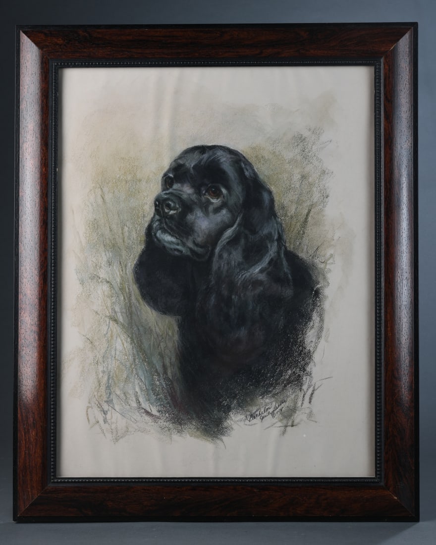 Pastel on Paper of a Spaniel, Jerilyn Weber: Pastel depicting the head and shoulders of a black Cocker Spaniel in three-quarter view, titled "Bachelor" and signed "Jerilyn Weber" with copyright symbol and date (199[?]) lower right. Weber is a