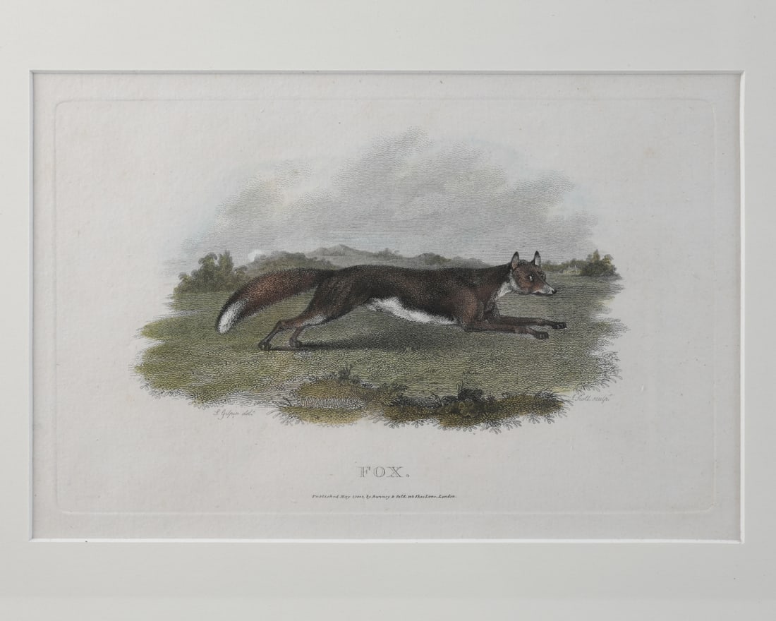 19th C. Engraving of a Fox (1 of 3)