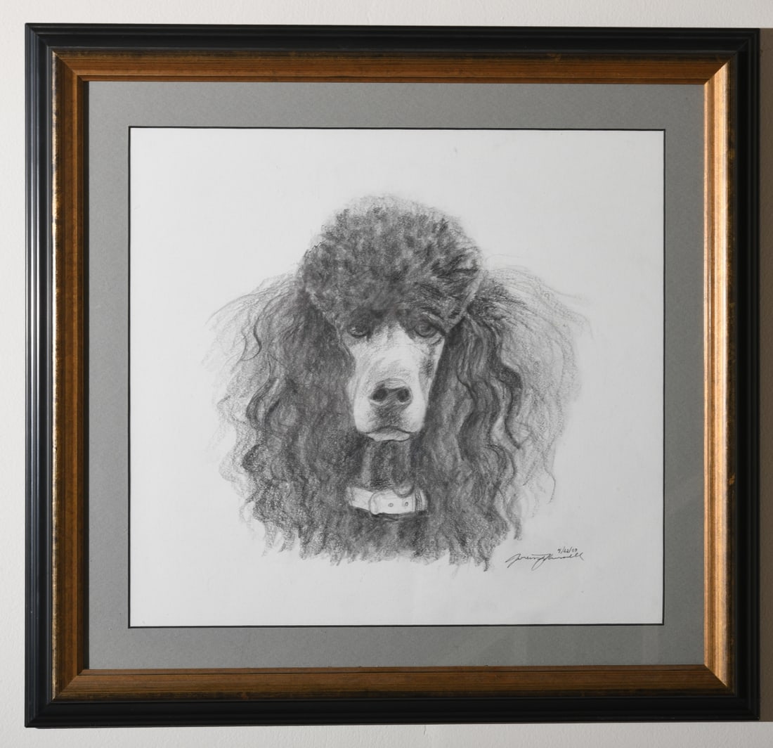Signed Poodle Portrait Drawing: Contemporary charcoal or graphite portrait study of a standard poodle, shown frontally with elaborate coiffed fur and collar, signed and dated lower right “4/22/03” (artist’s signature indis