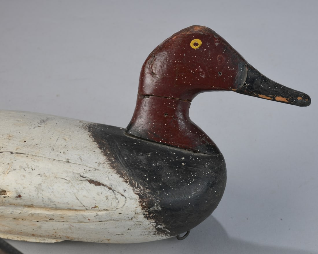 Canvas Back Drake and Hen - 5