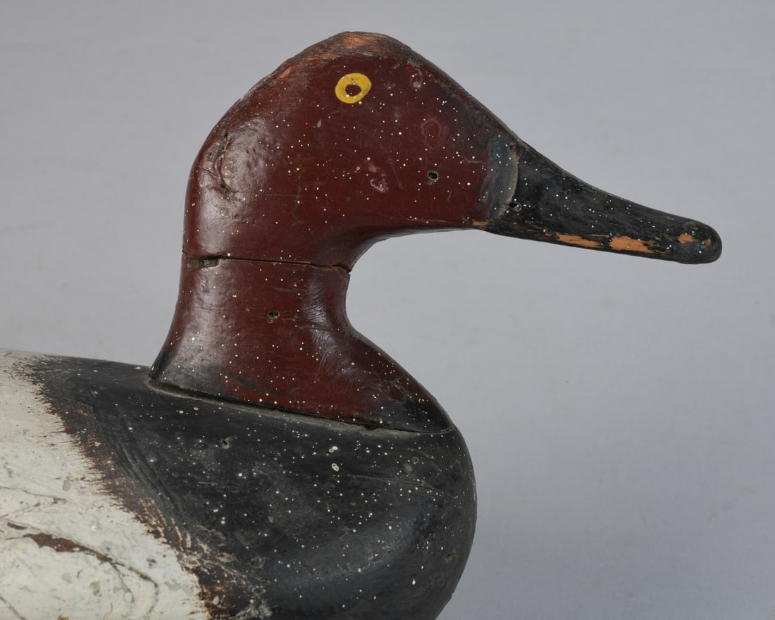 Canvas Back Drake and Hen - 7