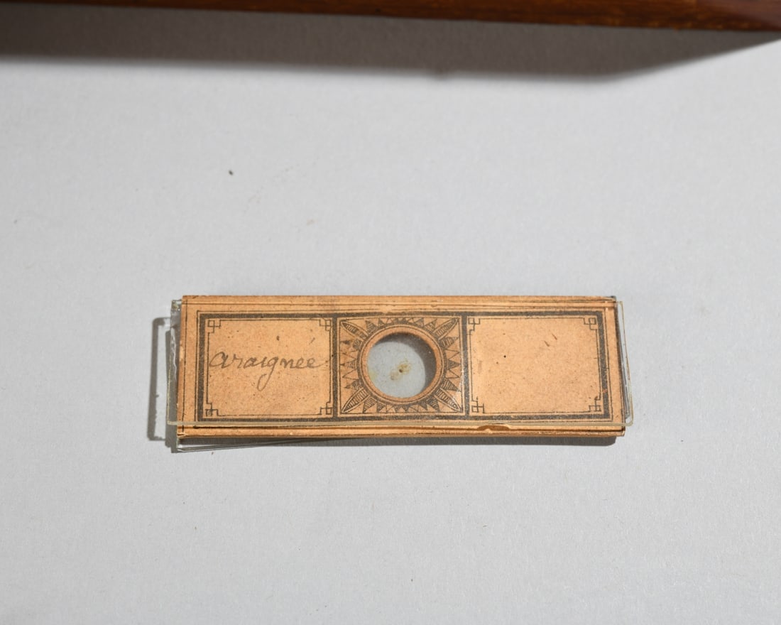 Antique Brass Drum Microscope - 2