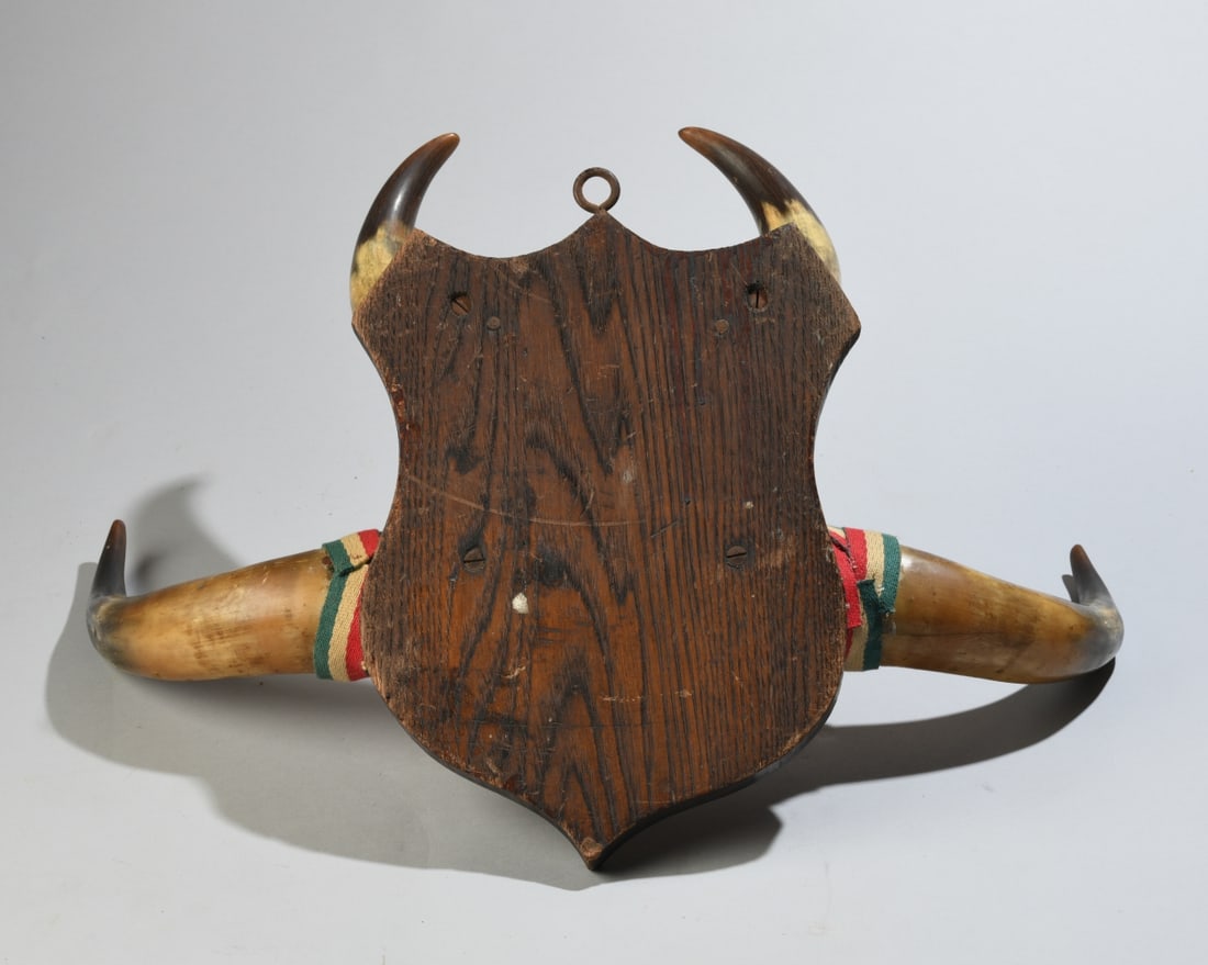 Horn Wall Mounted Hat Rack - 7