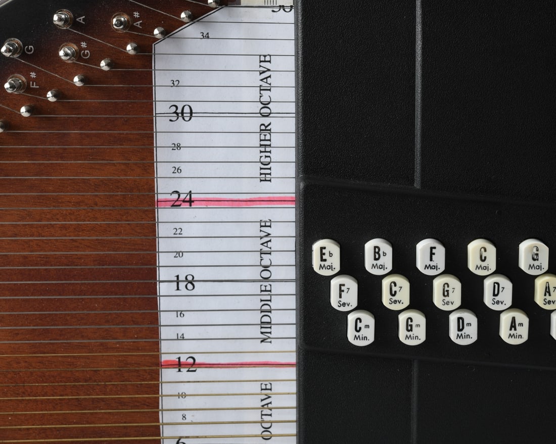 Oscar Schmidt Autoharp - 4