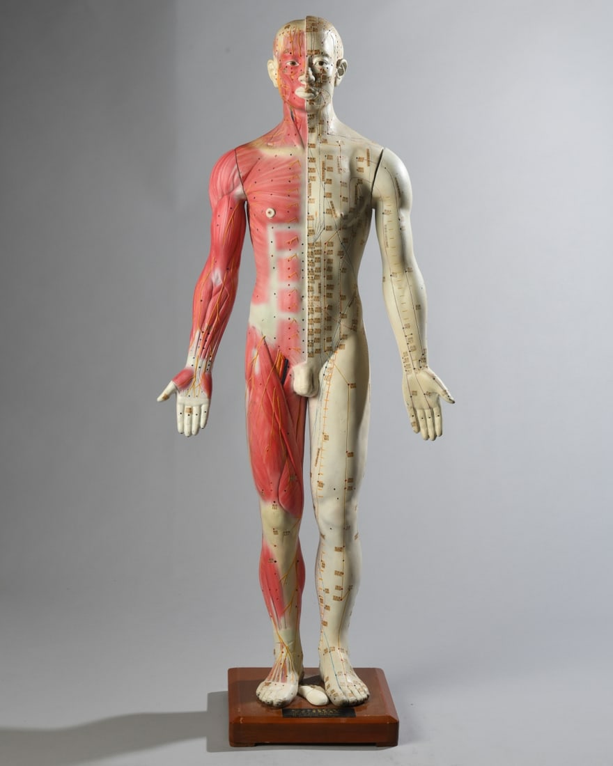 Chinese Acupuncture Anatomical Teaching Model: 20th century teaching model featuring Chinese acupuncture points, labeled with Chinese characters and abbreviated Western notations, the figure of composite material on a wooden base, with removable