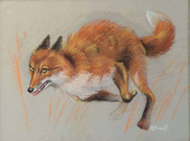 F.A. Bernard Watercolor of a Fox (1 of 4)