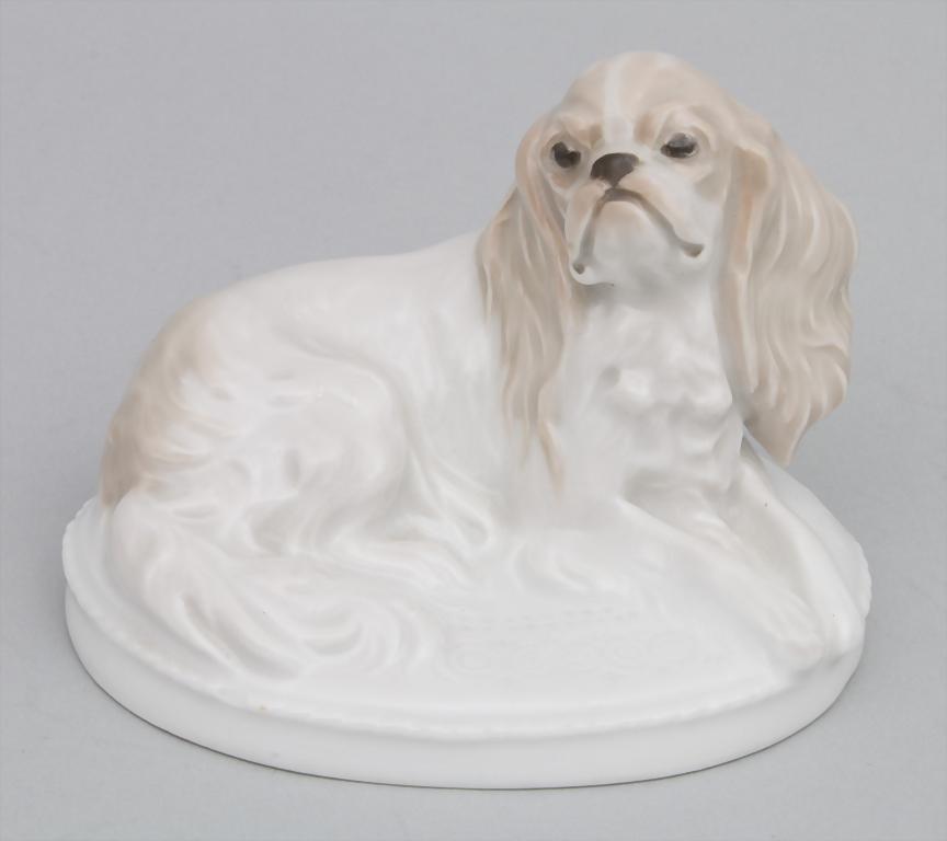Liegender Cavalier King Charles Spaniel / A reclining: Liegender Cavalier King Charles Spaniel / A reclining Cavalier King Charles Spaniel, Fritz Diller, Rosenthal, um 1940 Material: Porzellan, dezent in Pastelltönen bemalt und glasiert, Marke: grüne Bo
