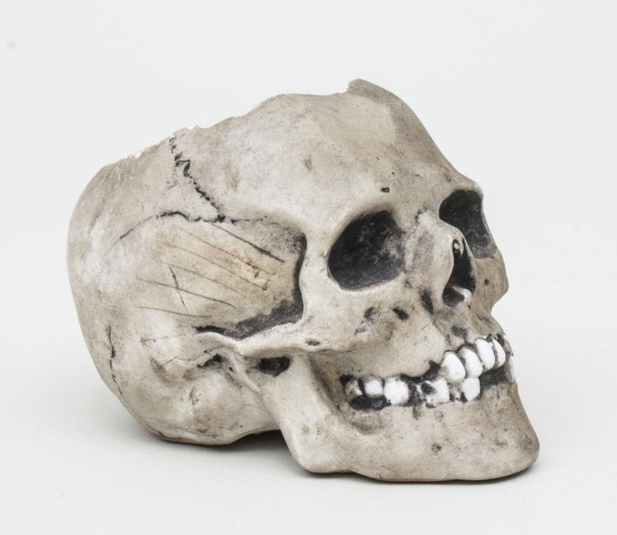 Schdel / Scull, ca. 1900 Material: Bisquitporzellan: Schdel / Scull, ca. 1900 Material: Bisquitporzellan Marke: ungemarkt Mae: H. 8,5 cm Zustand: gut, min. Abplatzer am Schdelrand Material: bisquit porcelain Mark: unmarked Height: 8.5 cm/3.35 inches Con