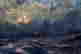 item-51218055=2