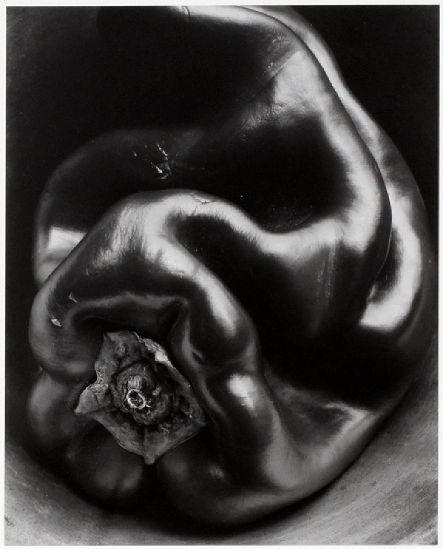 EDWARD WESTON MODERN GELATIN SILVER PRINT (1 of 7)