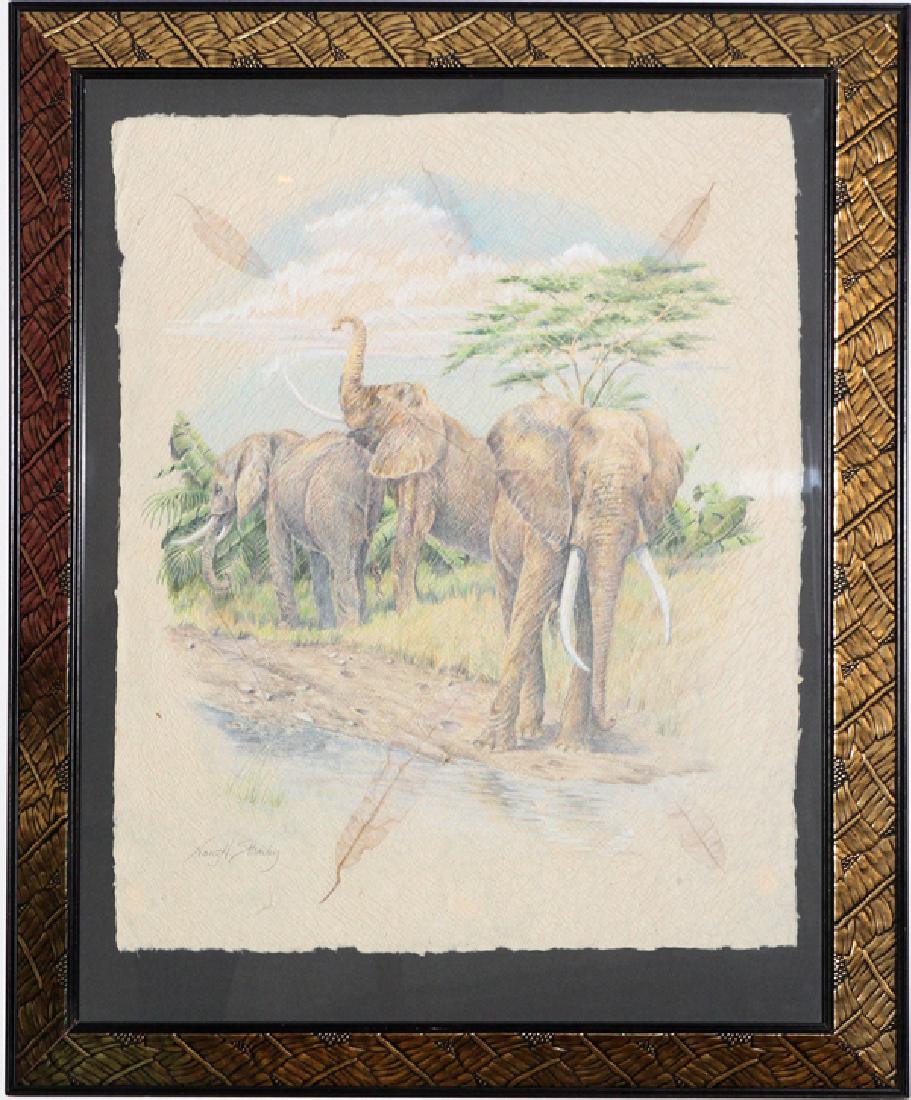 NANCY H. STRAILEY PENCIL DRAWING ON LUPA PAPER (1 of 3)