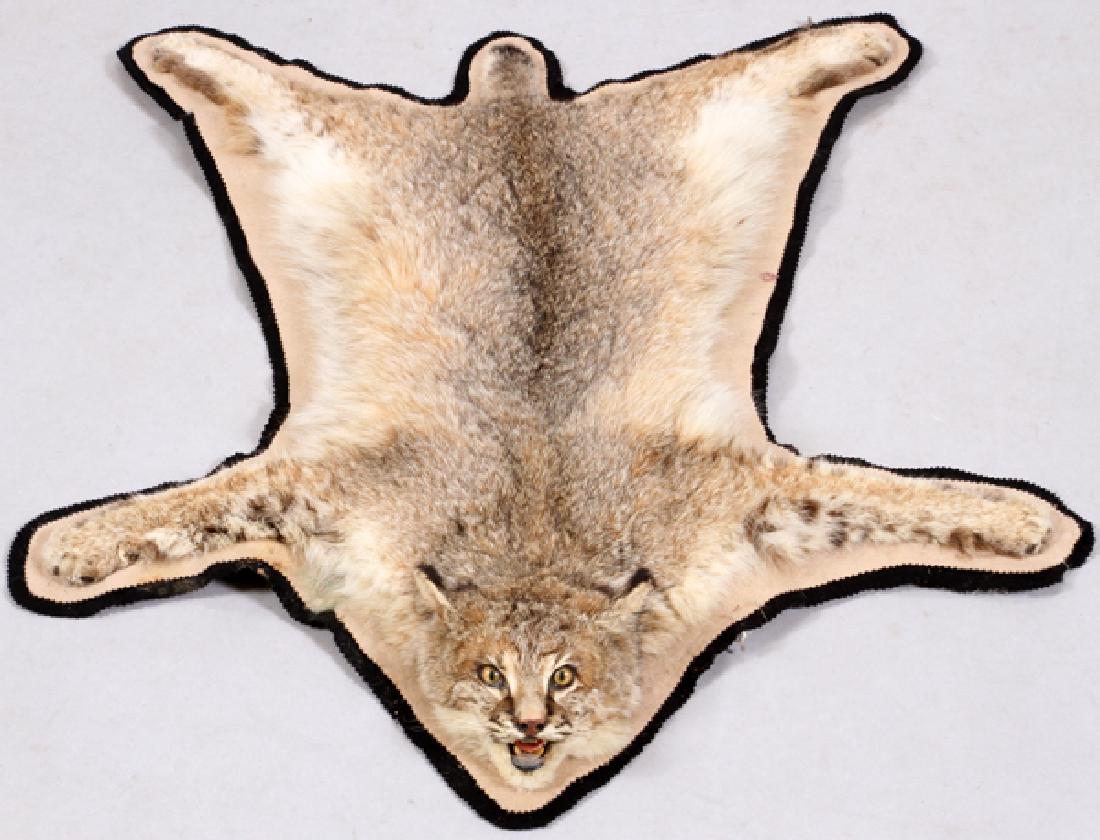 BOBCAT RUG: BOBCAT RUG, W 33", L 35":Bobcat skin full body rug with a black felt liner.