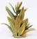 ROYAL WORCESTER BISQUE PORCELAIN BIRD SCULPTURE - 2