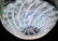ART GLASS PAPERWEIGHTS 5 PCS. - 4
