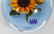 PCA GLASS PAPERWEIGHTS 5 PCS. - 2