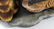 HUTSCHENREUTHER PORCELAIN DUCK FIGURAL GROUP - 3