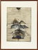 JOHNNY FRIEDLAENDER LITHOGRAPH - 2