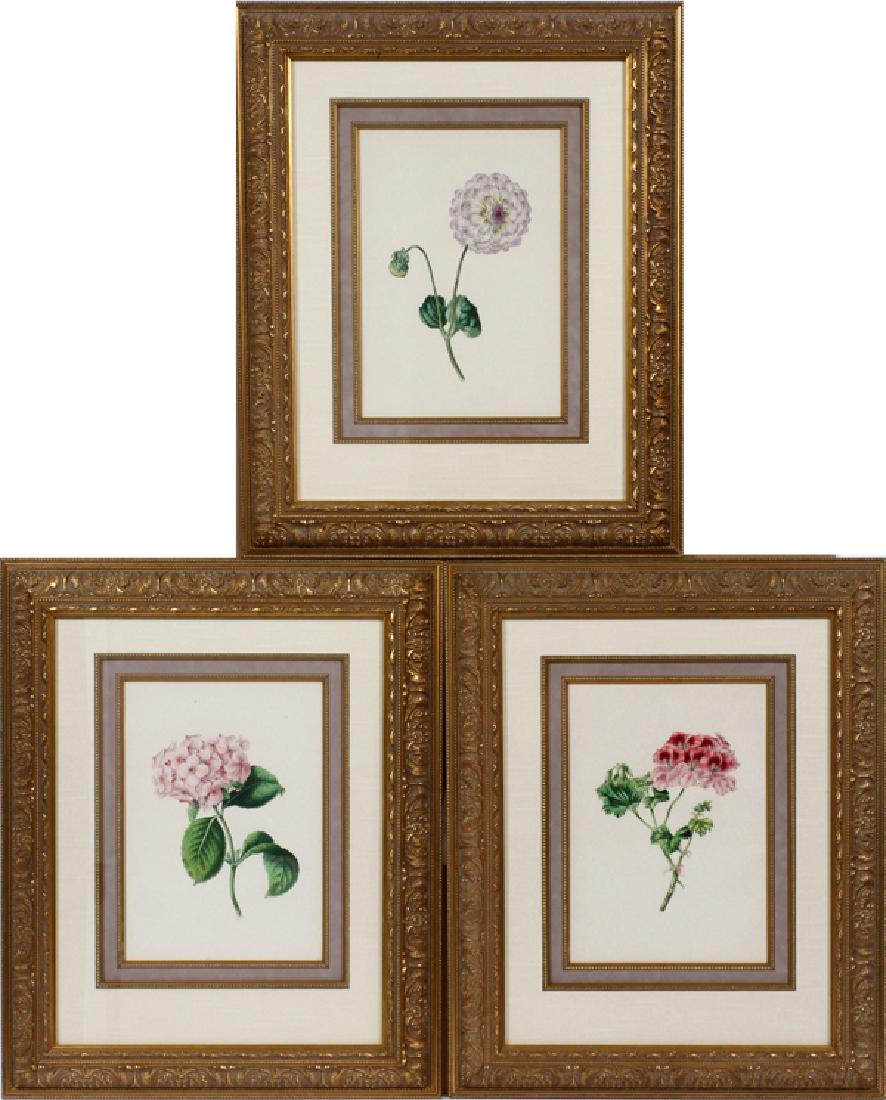 JOHN ADAMS BOTANICAL PRINTS SET OF 3 (1 of 4)