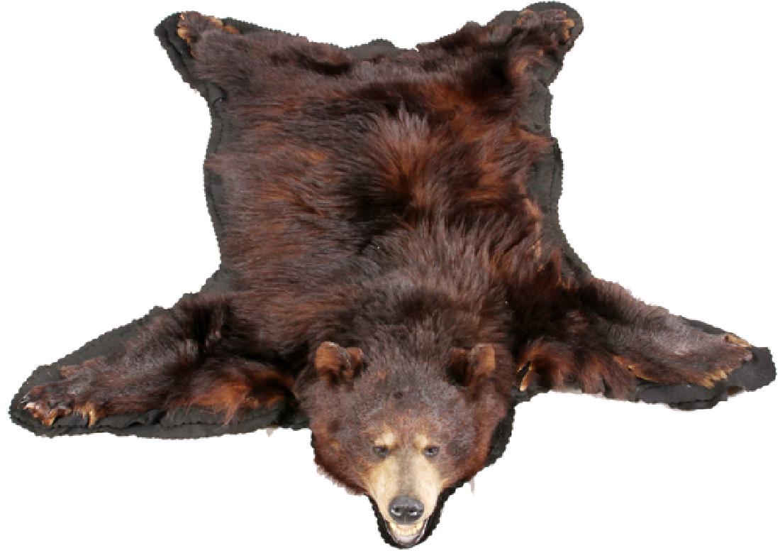 BROWN BEAR RUG