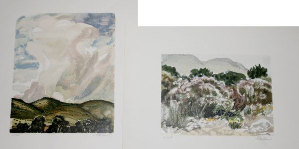 PETER HURD LITHOGRAPHS, 'SURGING CUMULUS' +1: PETER HURD (AMER., 1904-1984), LITHOGRAPHS, 'SURGING CUMULUS' & 'APACHE PLUME', 13" X 11", 9" X 12":Lithographs on paper, including "Surging Cumulus", edition 220/260, pencil signed, 13" x 11", unfram
