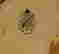 item-65190349=3