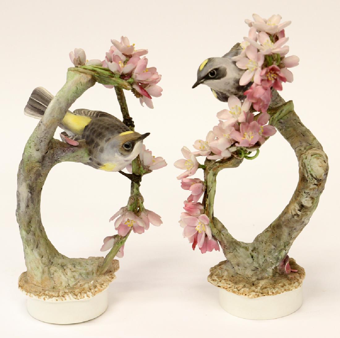 ROYAL WORCESTER BY DOROTHY DOUGHTY PORCELAIN 1957: ROYAL WORCESTER, BY DOROTHY DOUGHTY, PORCELAIN 1957, 2 PCS., H 9", "MYRTLE WARBLERS AND WEEPING CHERRY" :Depicts a mating pair of Myrtle Warblers perched on Weeping cherry branches. Per consignor, edi