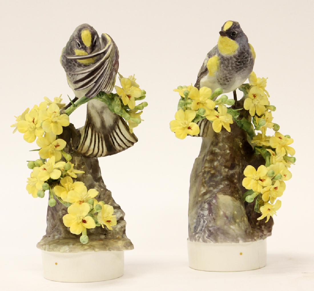 ROYAL WORCESTER PORCELAIN BIRD SCULPTURES: ROYAL WORCESTER, BY DOROTHY DOUGHTY, PORCELAIN BIRD SCULPTURES, 1 OF 500, 1963, 2 PCS., H 8 1/4" & 8", "AUDUBON WARBLERS AND PALO VERDI" :Depicts male and female "Audubon" Warblers and Palo Verdi blos