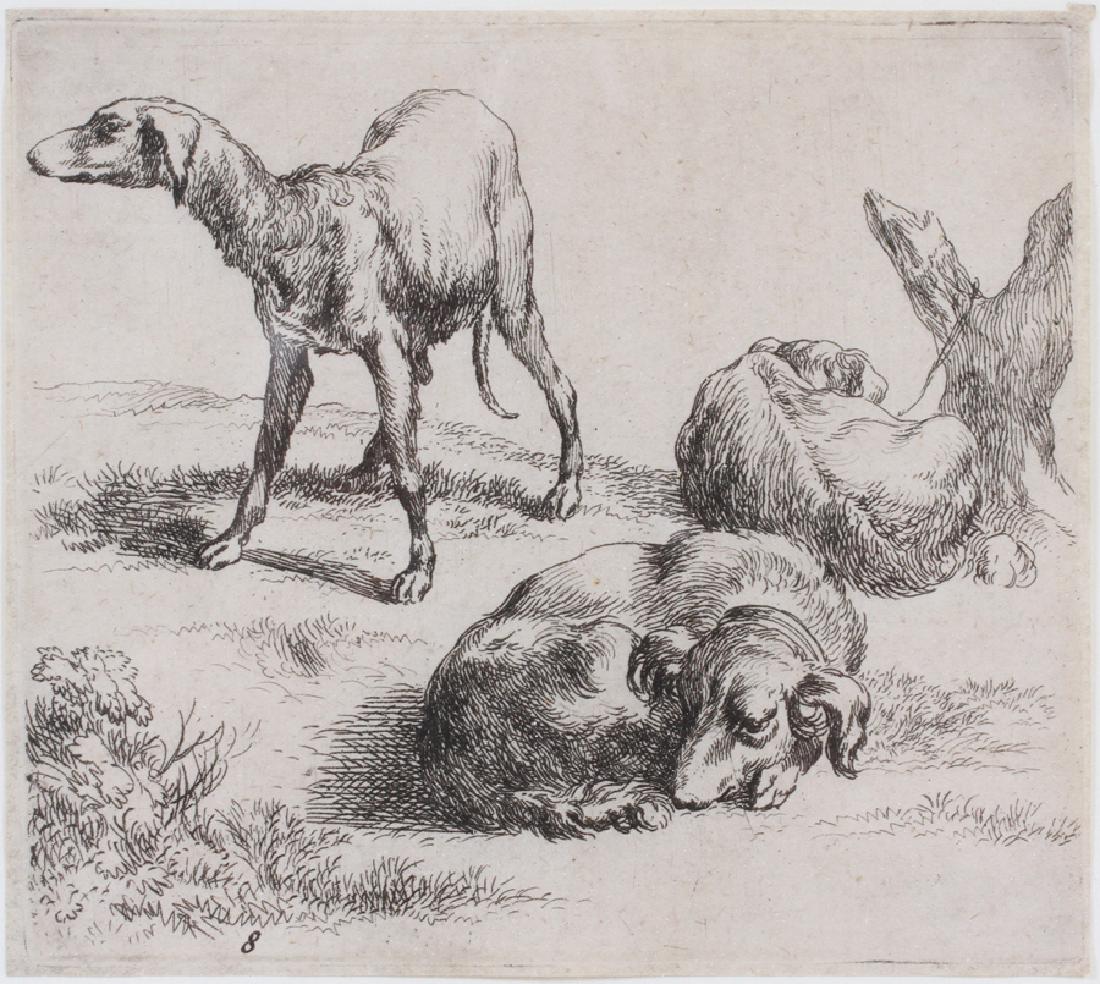 NICOLAES BERCHEM ETCHING STUDY OF 3 DOGS (1 of 4)