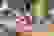 item-67026604=2
