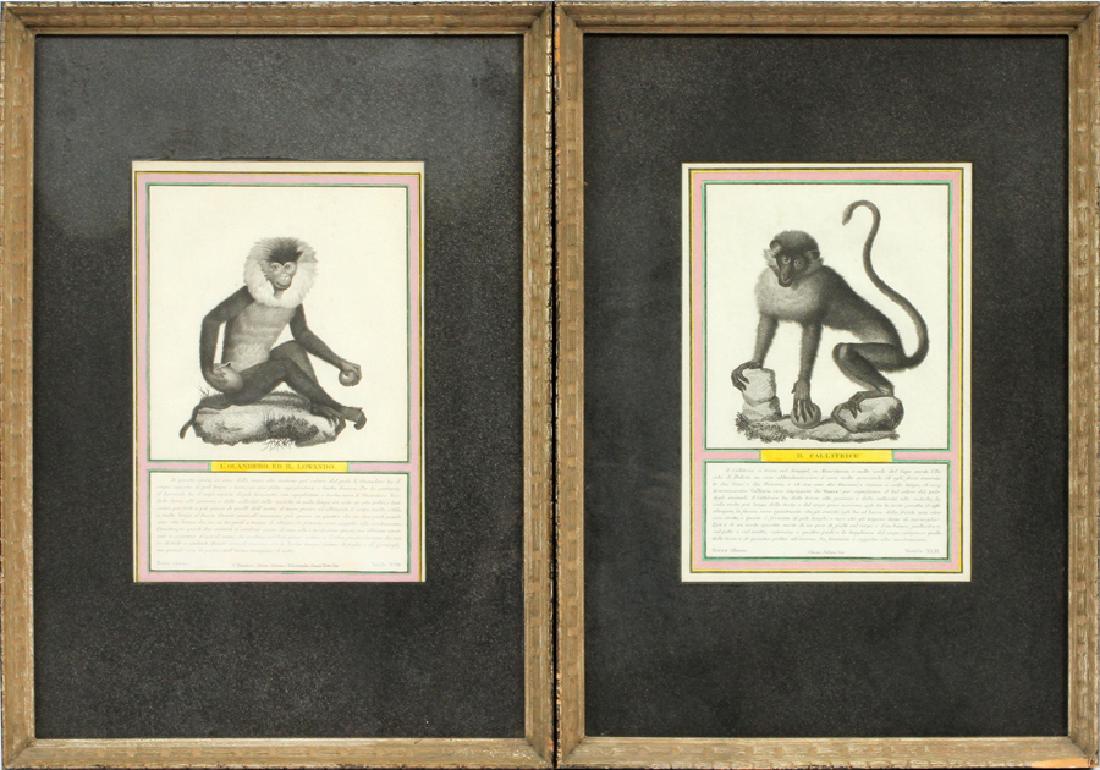AFTER JACOB, ITALIAN ENGRAVINGS ON PAPER, ANTIQUE: AFTER JACOB, ITALIAN ENGRAVINGS ON PAPER, ANTIQUE, PAIR, IMAGE SIZES: 11" X 7" & 11" X 8", "IL CALLITRICE" AND "L'QUANDERO" :Images are in black and white with the borders being hand colored; Italian 