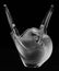 LALIQUE DOVE FORM CRYSTAL FLOWER FROG VASE