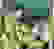 item-77345666=3
