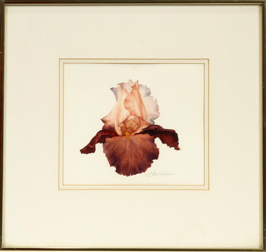 NANCY FISH HAWKINS, WATERCOLOR ON PAPER: NANCY FISH HAWKINS, WATERCOLOR ON PAPER, H 6", W 6", "BRIDESMAID" A watercolor on paper depicting orchid titled "Bridesmaid" by Nancy Fish Hawkins. Artist's signature to the lower right in graphite. F