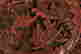 item-80813400=2