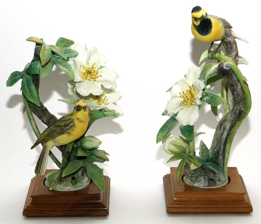 ROYAL WORCESTER FIGURINES, 2 PCS: ROYAL WORCESTER FIGURINES, 2 PCS, H 10", 12" "HOODED WARBLER" & "CHEROKEE ROSE" Depicts the "Hooded Warbler" male and female each perched on a Cherokee Rose plant. Mounted on tiered wood bases. H 10"-