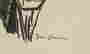 item-81881481=3