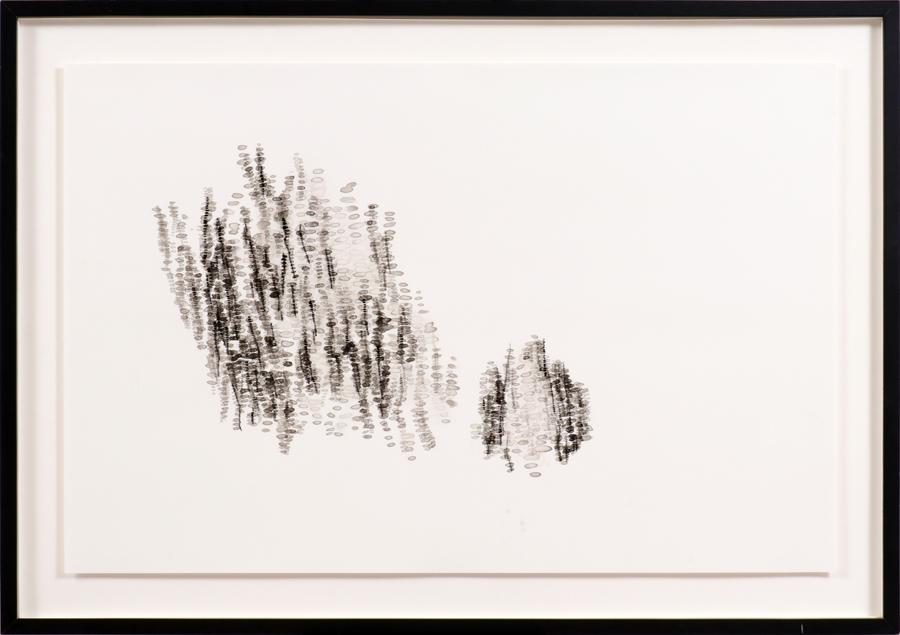 WENDY WOLF RADIOGRAPH INK ON YUPO PAPER (1 of 3)