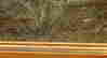 item-83319981=2
