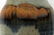 SIGNED ART POTTERY TABLEWARE, 5 PCS, H 2"-6" - 3
