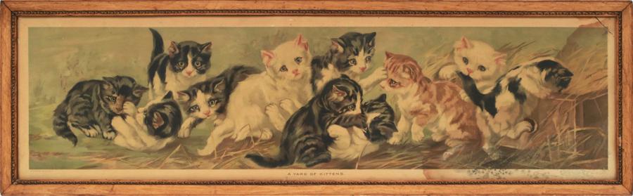 VINTAGE CHROMOLITHOGRAPH "YARD OF CATS": VINTAGE CHROMOLITHOGRAPH H 11" W 38" "YARD OF CATS" Paper is a yard long. Date: 1898, NYC. Size includes frame.