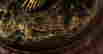 item-89680976=3