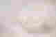 item-91097250=11