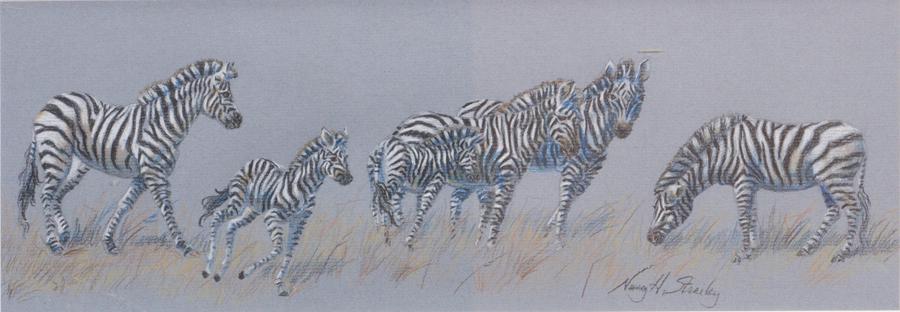 NANCY STRAILEY PENCIL ON PAPER, ZEBRA STUDY (1 of 4)