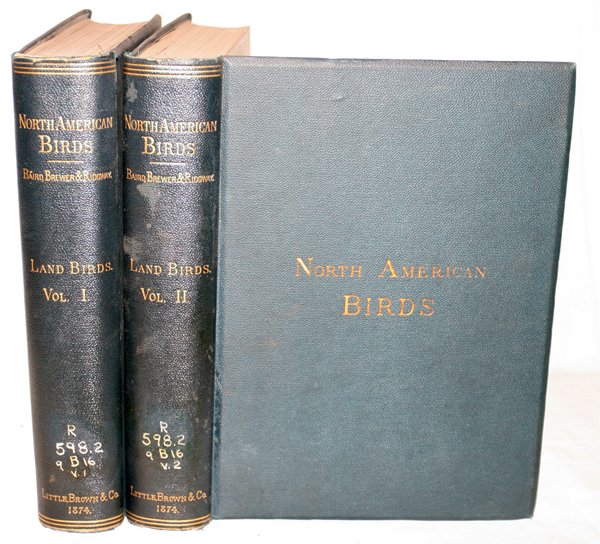 SF BAIRD, TM BREWER & R RIDGWAY "NORTH AMERICAN: S.F. BAIRD, T.M. BREWER & R. RIDGWAY, "NORTH AMERICAN BIRDS", VOLS. I & II, 1875:Illustrated with chromolithographic plates woodcuts; hand coloring; Boston: Little, Brown & Co.; James Prendergast Libr