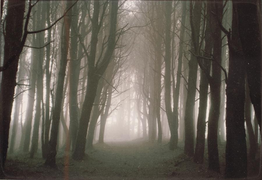 DAKOTA J. BLAIR,  COLOR PHOTOGRAPH,  2001, H 4" W 6" (1 of 4)