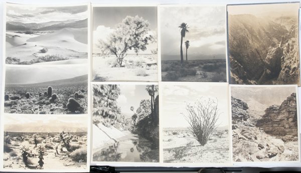 STEPHEN H WILLARD PHOTOGRAPHS SIX +THREE OTHERS: STEPHEN H. WILLARD, PHOTOGRAPHS SIX, PLUS THREE OTHERS, 9 3/4" X 7 3/4", SCENES OF PALM SPRINGS:Including 6 black and white photographs with "Willard (copyright)" and various number in the lower right