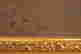 item-99204691=4