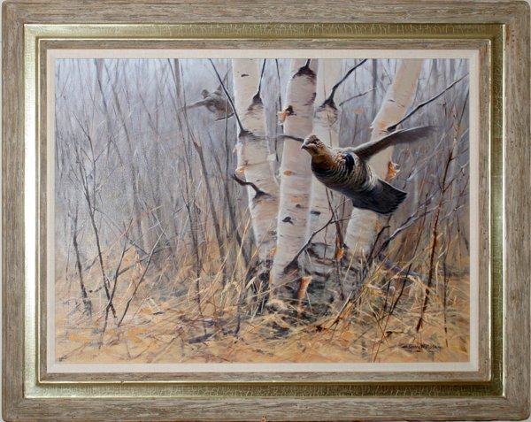 GARY W. MOSS OIL ON CANVAS, 23" X 33", RUFFED : GARY W. MOSS, OIL ON CANVAS, 23" X 33", RUFFED GROUSE AMONG BIRCH TREES:Signed, framed. Distinguished artist of wildlife. Numerous National and State recognitions. Minnesota. From the Collection of Al